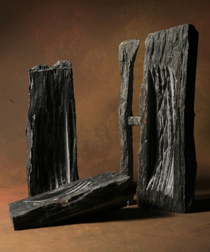 IMG_0340.JPG IMG_0340.JPG