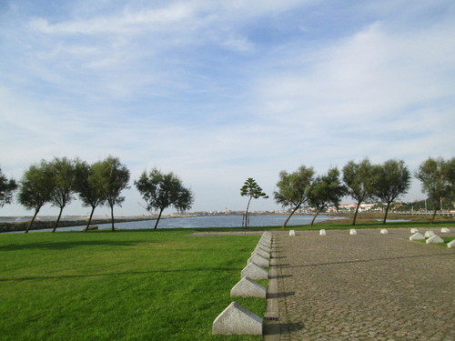 IMG_0927.JPG IMG_0927.JPG