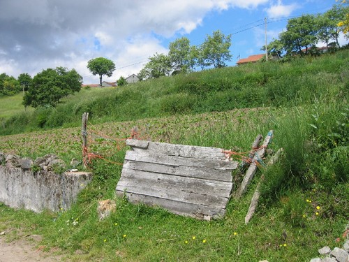 Paredes - Montalegre