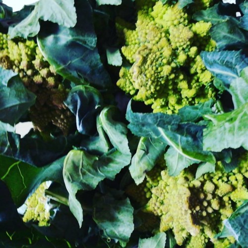 44308404_1227620014044424_5026960934489292800_n.jp 44308404_1227620014044424_5026960934489292800_n.jp