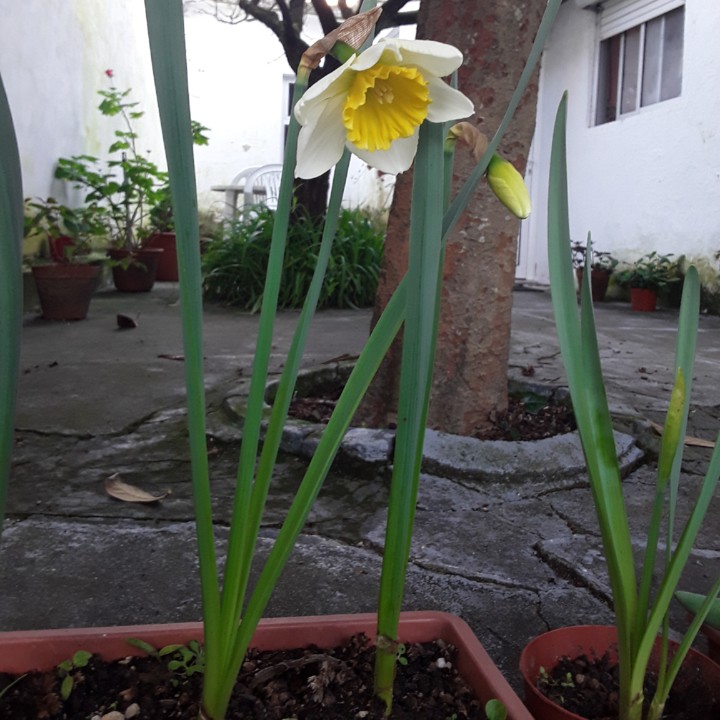 20210228_092613.jpg 20210228_092613.jpg