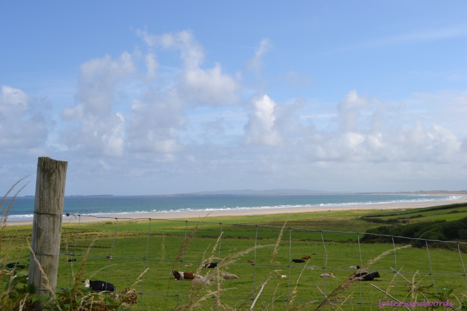 DSC_0132.JPG DSC_0132.JPG