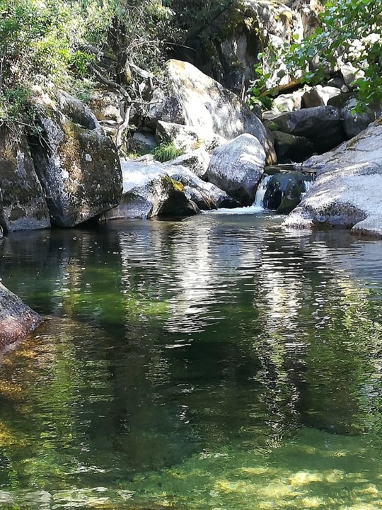 67543519_1431916030281487_8577060771127623680_n.jp