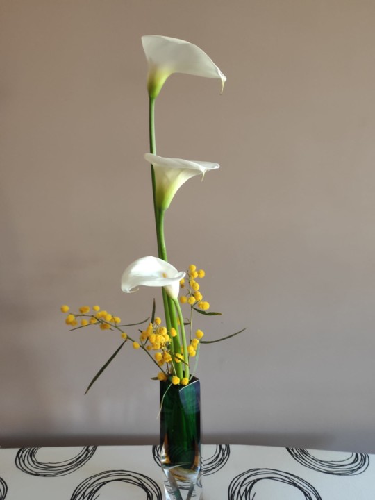 5d7719dc-eaed-4d14-9448-51ecfa8b99cb.jpg 5d7719dc-eaed-4d14-9448-51ecfa8b99cb.jpg