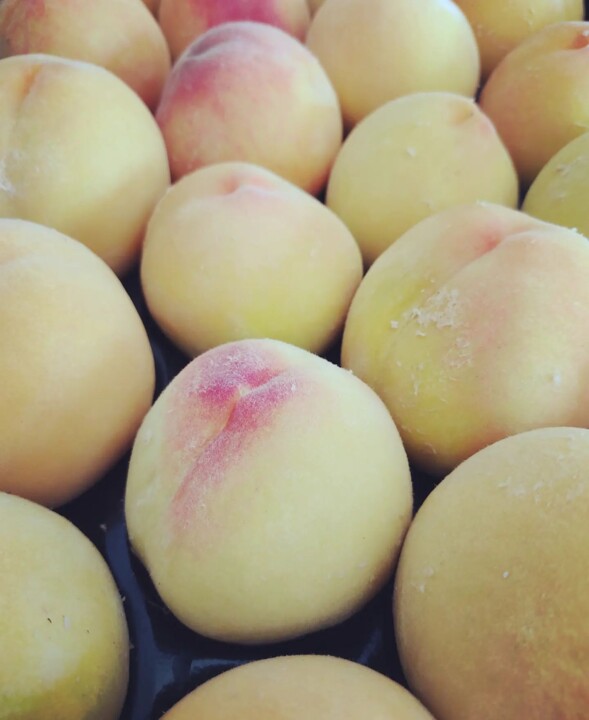 287462715_2331976173608797_1093004779949236046_n.j