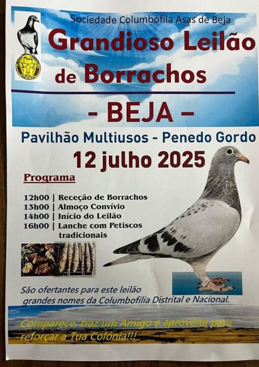Beja - 12 julho.jpg