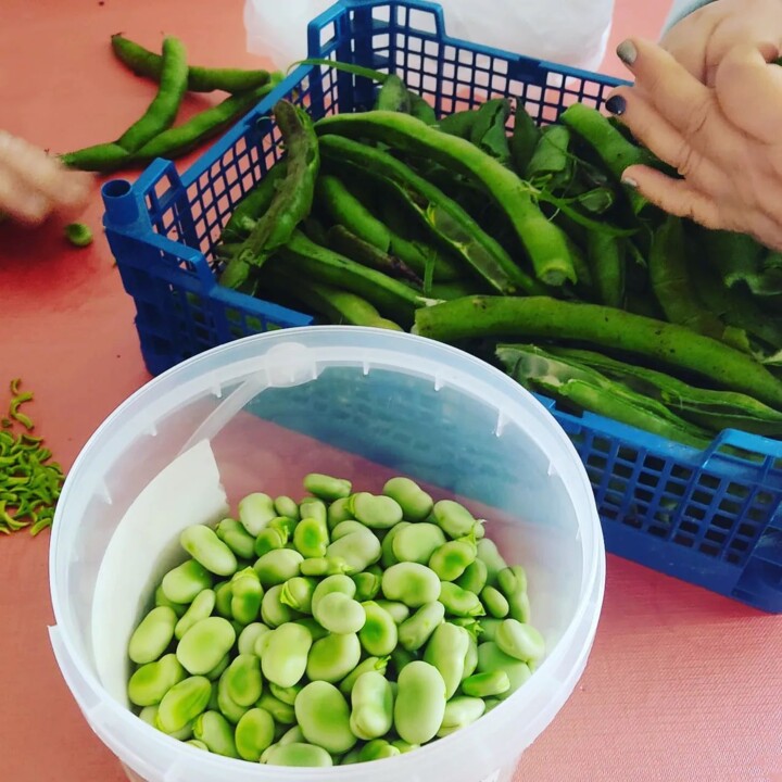 340765484_774443244053710_3490062491672392263_n.jp