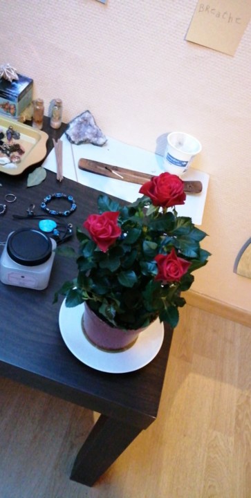 121701542_445784303067746_3090523404529505787_n.jp