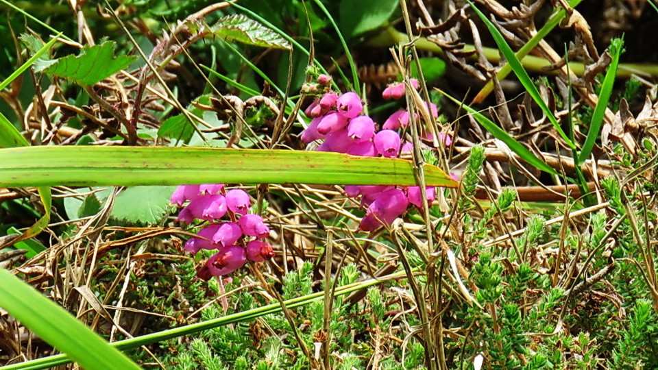 2019-08-26 15-42-22_0649.jpg 2019-08-26 15-42-22_0649.jpg