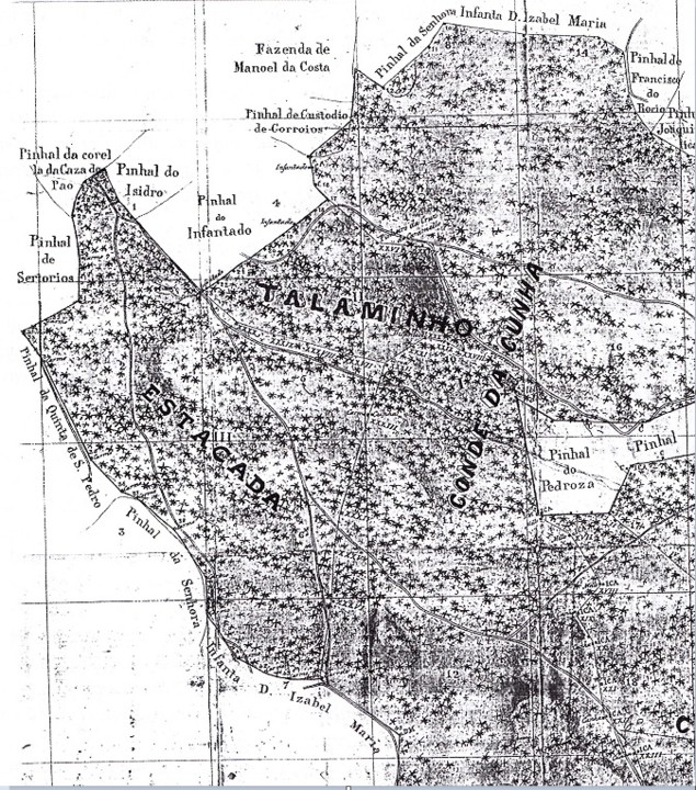 Mapa dos Pinhais de Joao Coelho de Abreu na Fregue