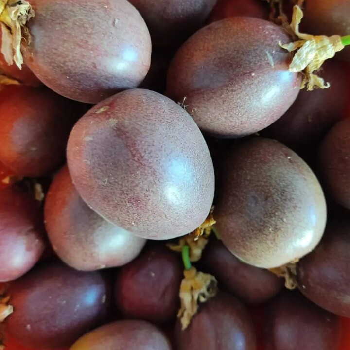 357478638_651598490330898_7394402332632043160_n.jp