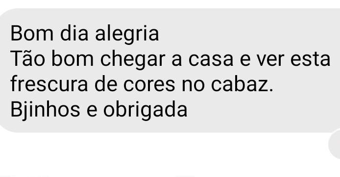 459550831_912010470956364_3082724124899602148_n.jp