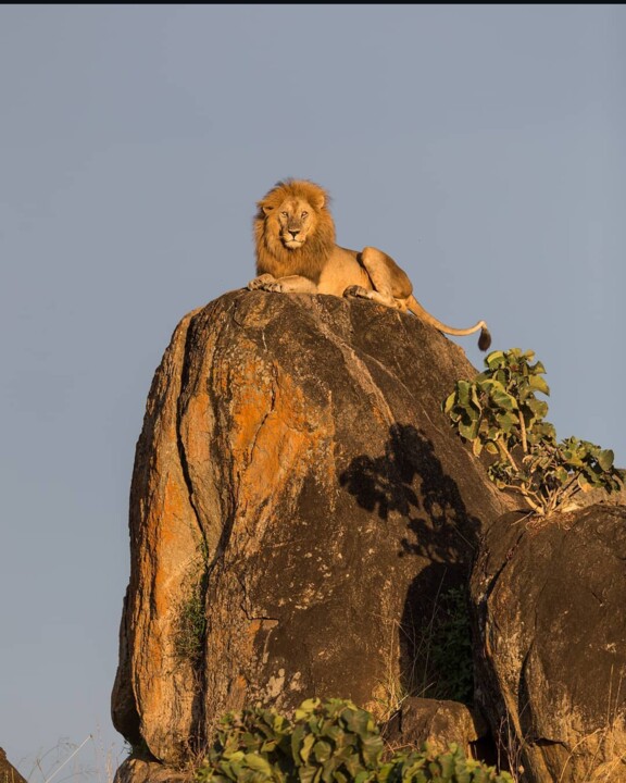 Screenshot_2025-05-18-13-58-48-528_com.instagram.a