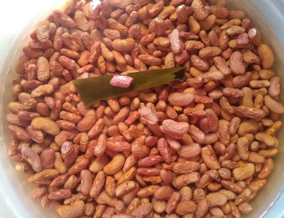 IMG_20190922_113039.jpg IMG_20190922_113039.jpg