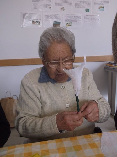 13010745_1729644053973846_3867459198616534139_n.jp