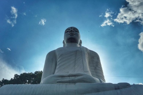 22221842_10214593782268336_8929373859227548466_n.j