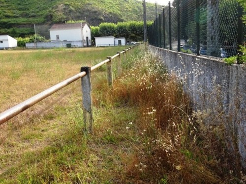 sandomil seixo e torroselo 2018 045.jpg