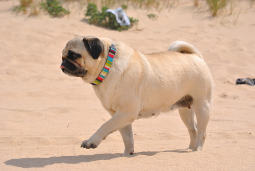 mariaDSC_1732.jpg mariaDSC_1732.jpg