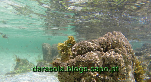 Ilha_Ons_28.JPG Ilha_Ons_28.JPG