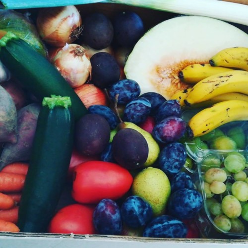 41721410_1206958926110533_7176300042720903168_n.jp 41721410_1206958926110533_7176300042720903168_n.jp