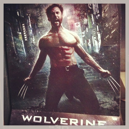 wolverine