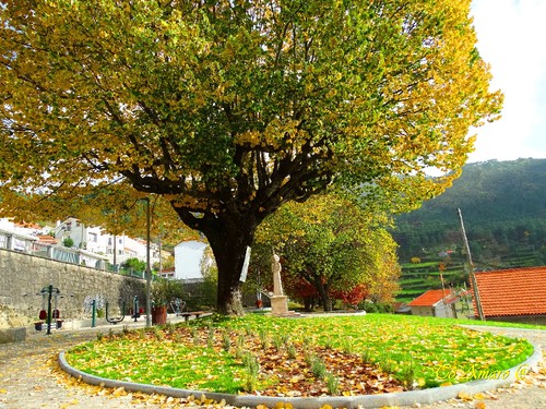 Fotos de Outono !!! 012.jpg