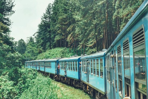 22195354_10214598282780846_3587285573954003158_n.j