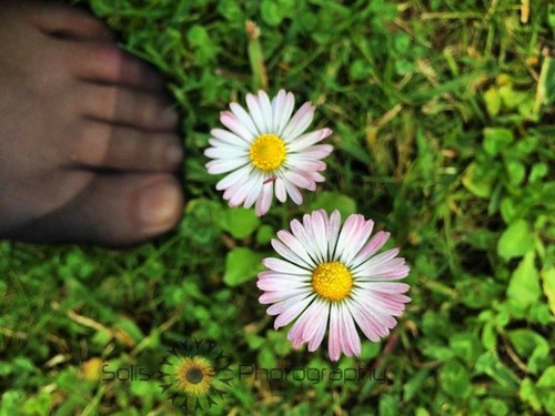 1. Rita Fernandes Solis Photography.jpg 1. Rita Fernandes Solis Photography.jpg