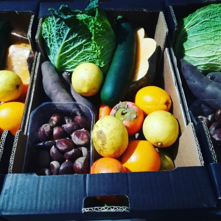 76619855_1514072138732542_5977310628702846976_o.jp