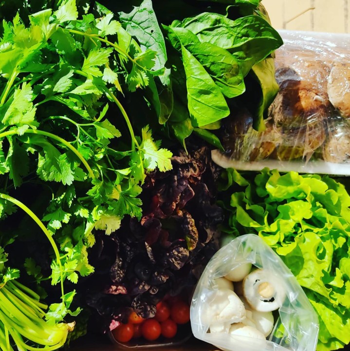 129147496_1892394290900323_8319483963714796509_o.j