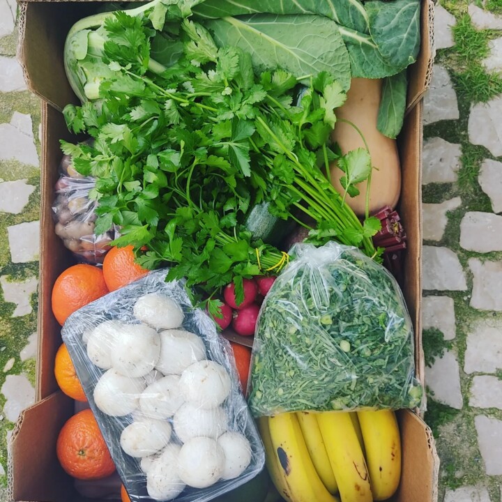 423004803_767645365392876_7498419309020950261_n.jp