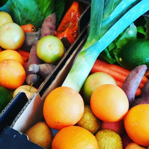 49756074_1283296258476799_8037288046078459904_n.jp