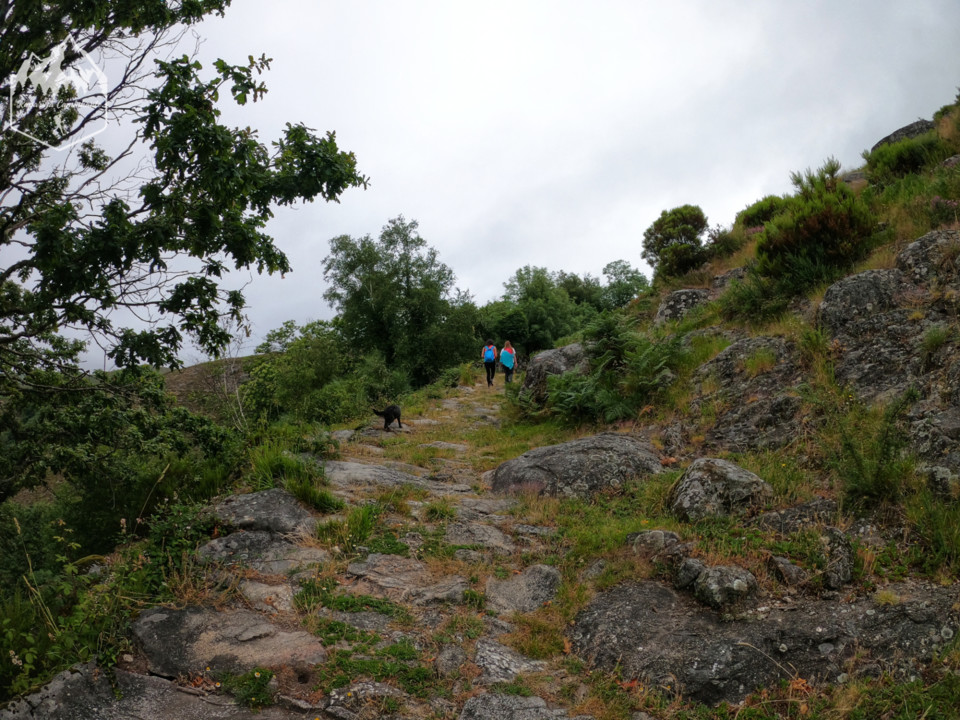 Photo_1597131975847.jpg Photo_1597131975847.jpg