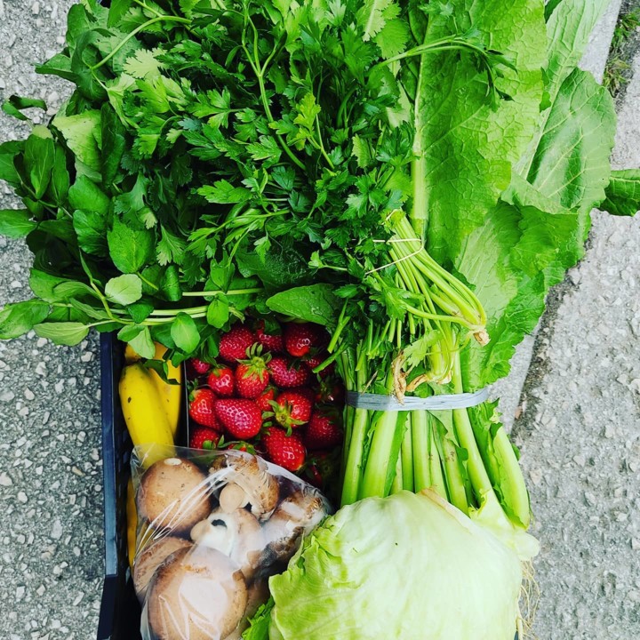 168182770_1988842757922142_1903992955402763350_n.j