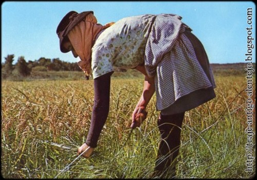 ceifera-do-alentejo.jpg ceifera-do-alentejo.jpg