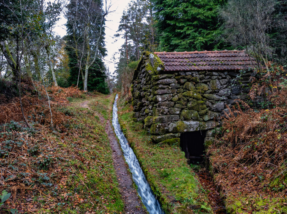 trilho levada da Víbora nov 2024 03.jpg