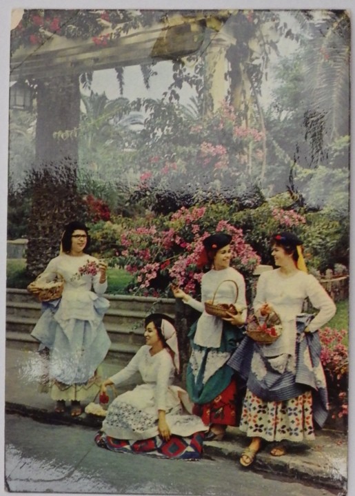 postal_flam_madeira_centro_turismo_19710728 (3).JP