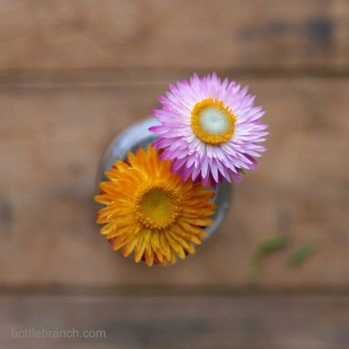 91380693_2759216887507499_3375290127910699008_n.jp