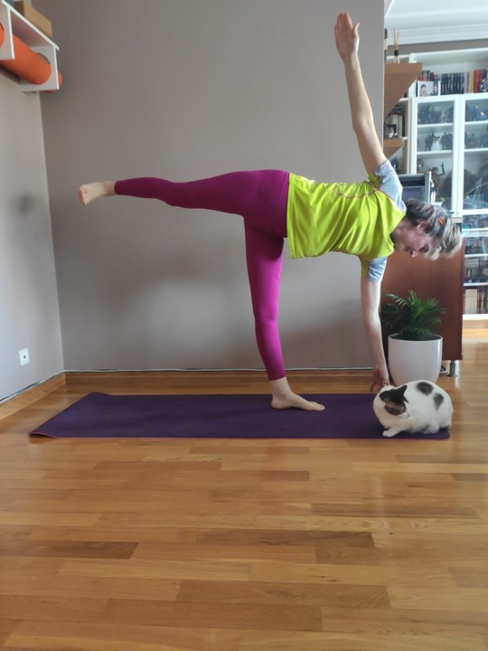 WhatsApp Image 2021-04-14 at 11.57.27.jpeg WhatsApp Image 2021-04-14 at 11.57.27.jpeg