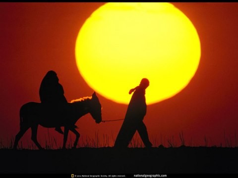 National Geographic Photos.jpg