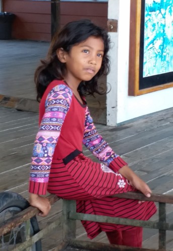 20190209_095440.jpg 20190209_095440.jpg