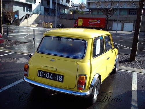 Encontros alem corgo 2017 (16).jpg