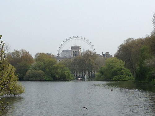 Sem Títulolnd.png Sem Títulolnd.png