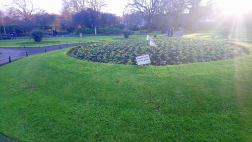 DSC_0607.JPG DSC_0607.JPG