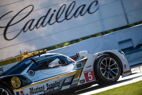 18839161_741217719390825_3073190283408272911_n.jpg 18839161_741217719390825_3073190283408272911_n.jpg