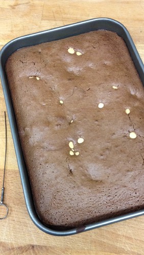 IMG_1458.JPG IMG_1458.JPG