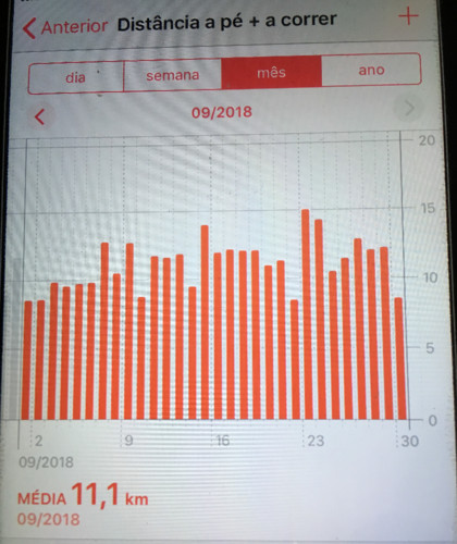 set2018.jpg set2018.jpg