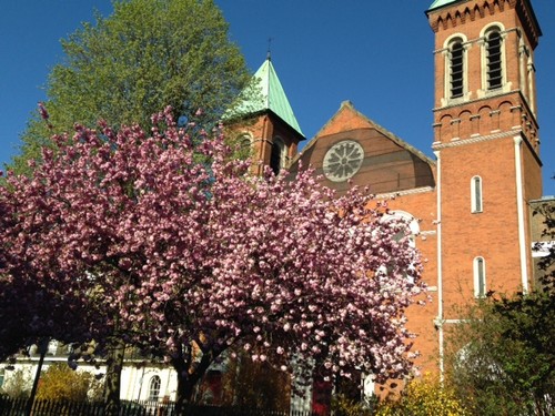 IMG_2017.JPG IMG_2017.JPG