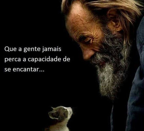 12494756_10205657511864693_1727039677713016986_n.j