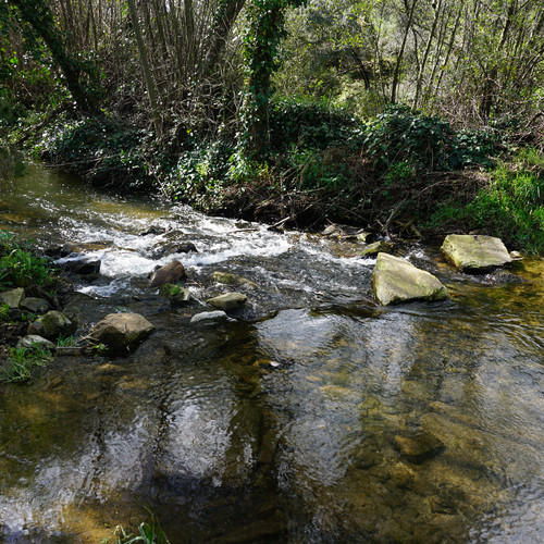 DSC02802.JPG DSC02802.JPG